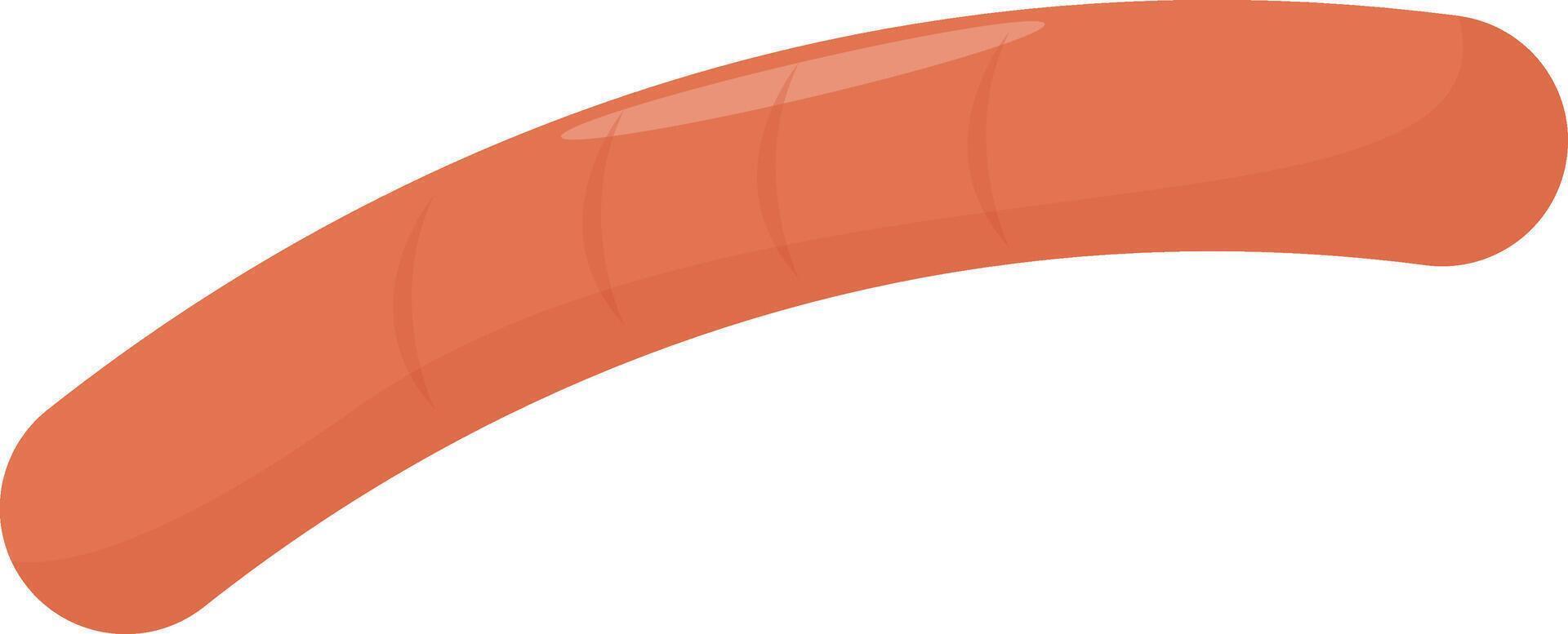 Cooked Sausage Slice vector