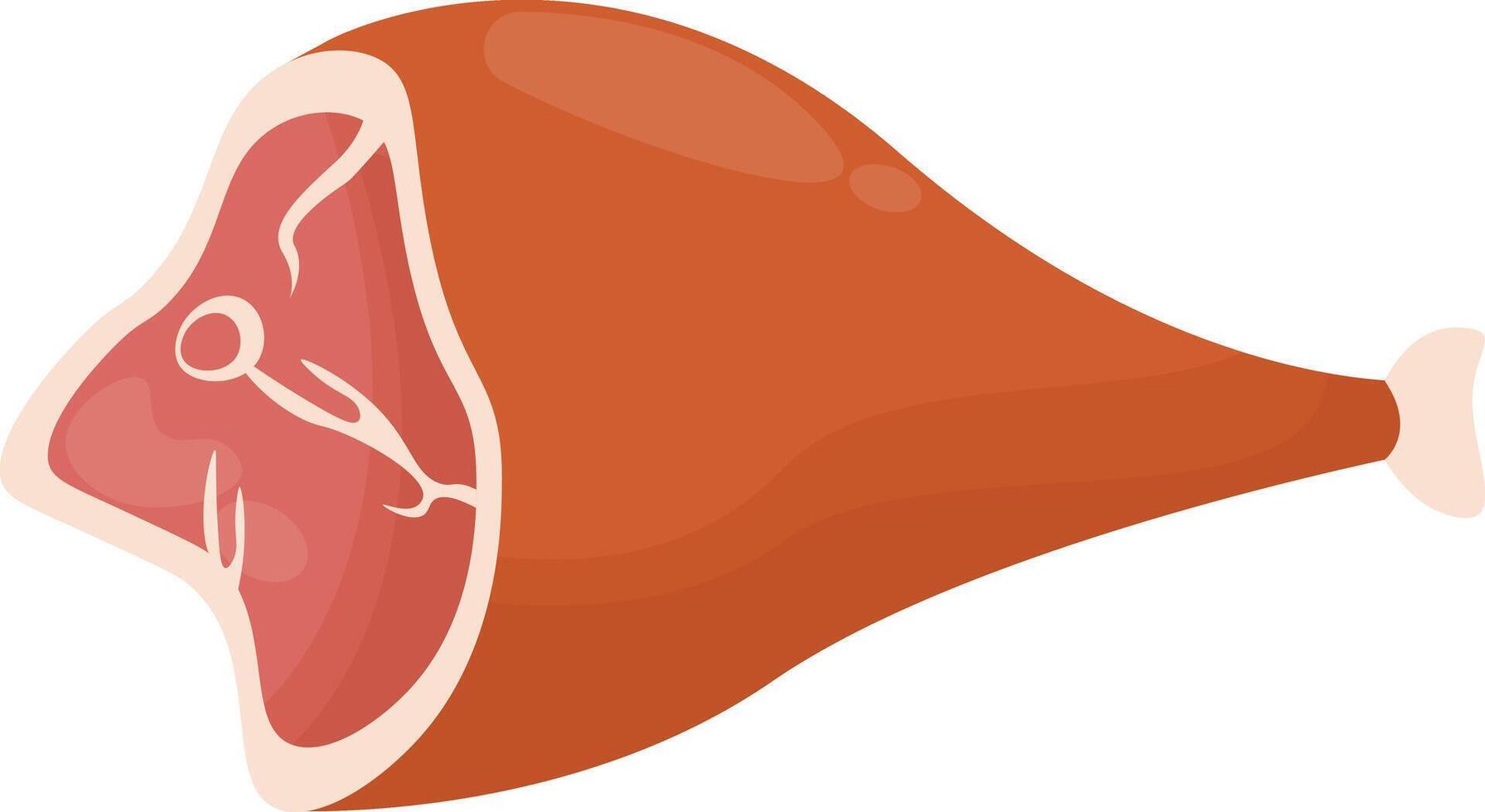 Beef Cut with Bone vector