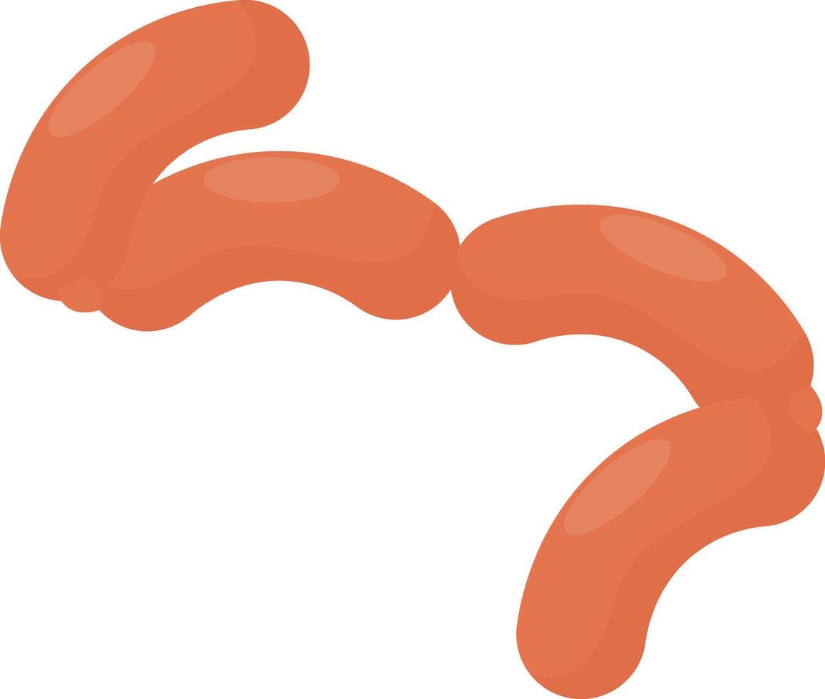 Meat Sausage Link vector
