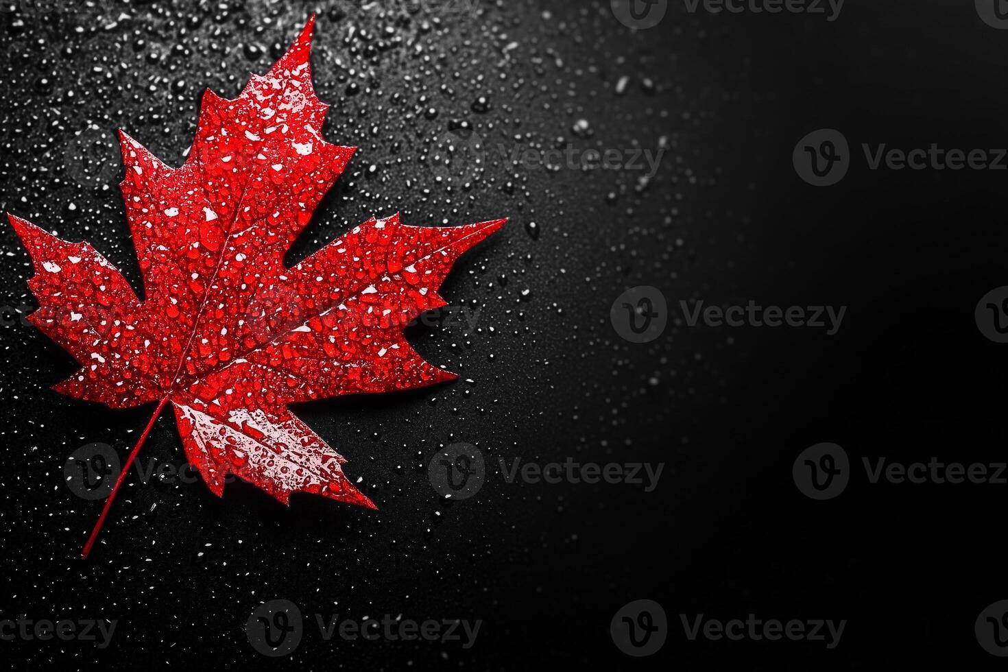 Red maple leaf glistening with raindrops, dramatic moisture laden surface contrasting against deep shadowy backdrop copy space photo