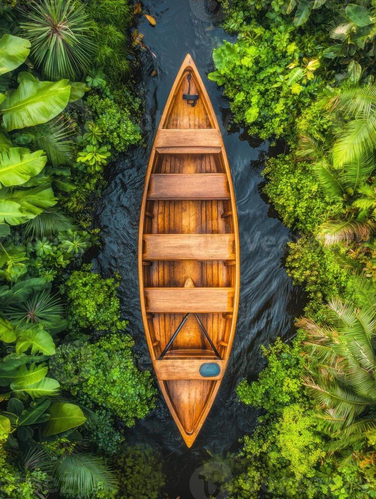 An aerial view of a boat floating in a river surrounded by lush green vegetation photo
