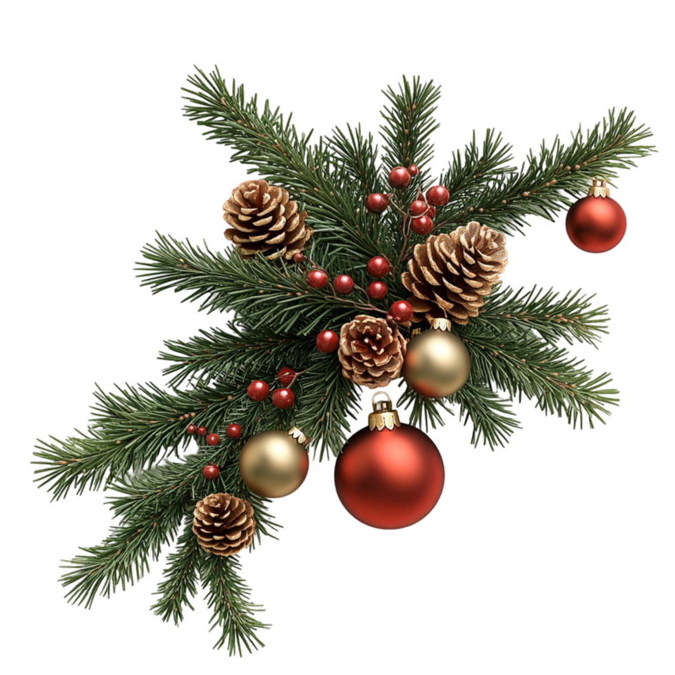 Christmas Pine Branch with Red and Golden Baubles on png