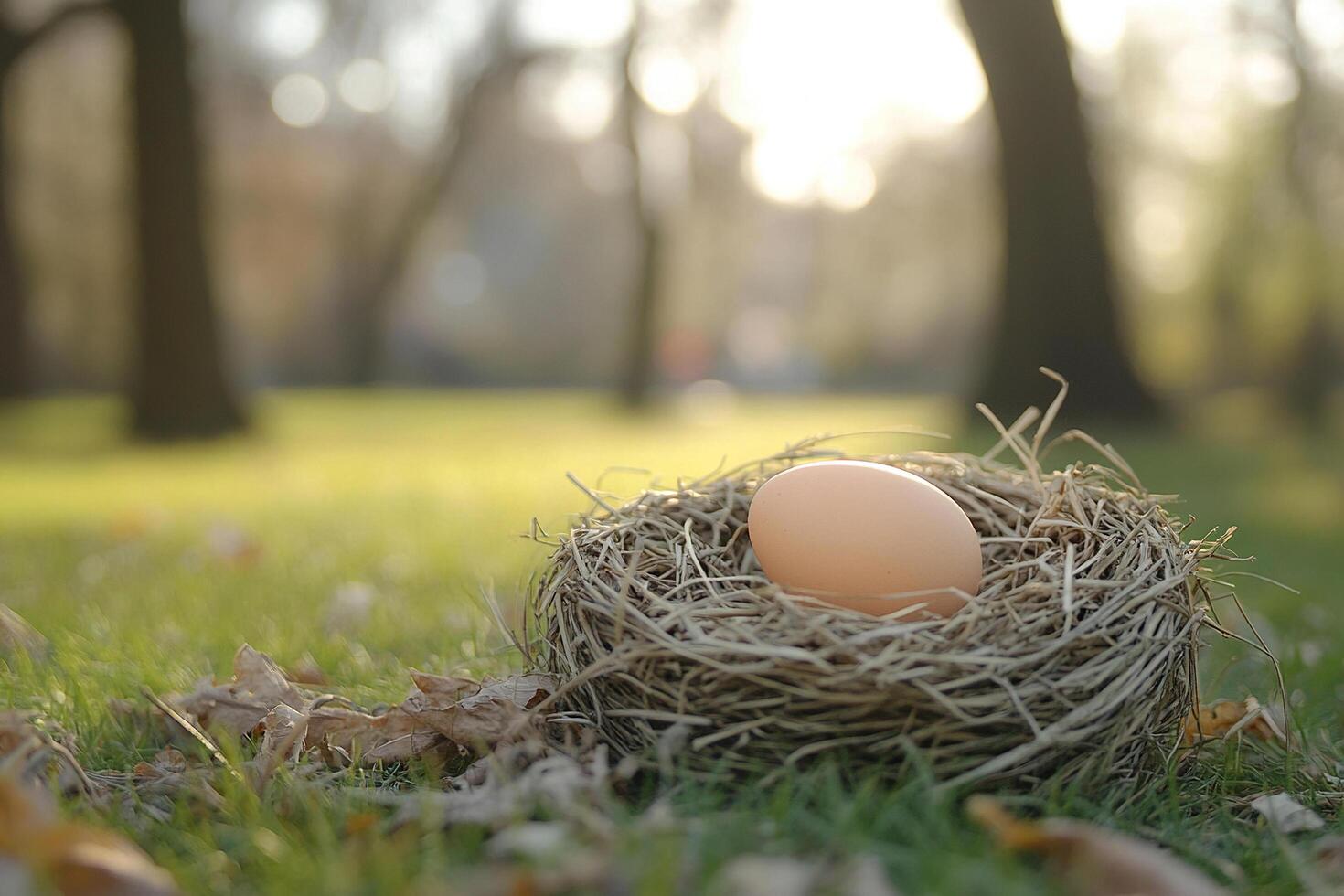 A nest with an egg lies on the ground in a park on a spring day. Generated by artificial intelligence photo