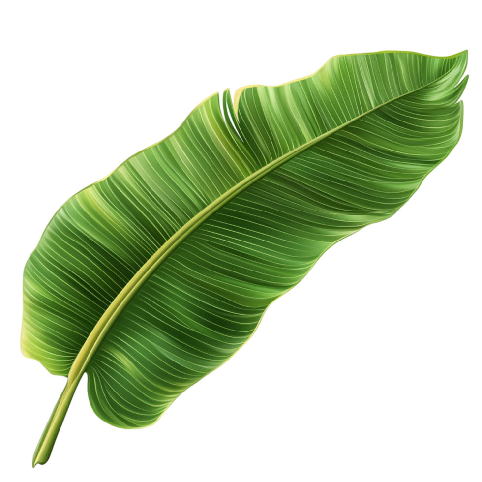 Green banana leaf with realistic texture png
