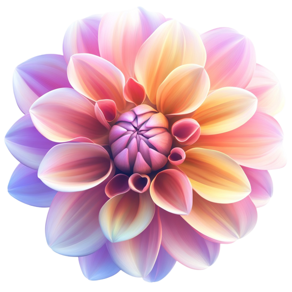 Beautiful Multicolored Abstract Flower png