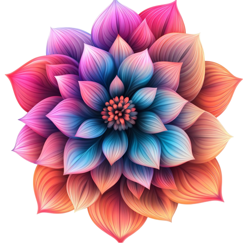 Vibrant Pink and Blue Flower Bloom with Gradient Petals png