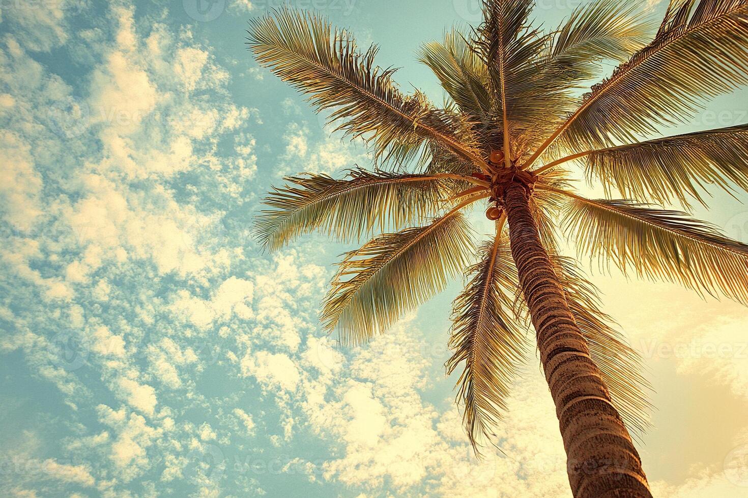 Tall palm tree against a clear blue sky in cinematic style. Palm leaves gently sway in the wind. Tropical paradise. Generated by artificial intelligence photo