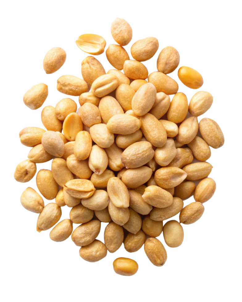 Fresh and crunchy peanuts loosely placed on transparent background png