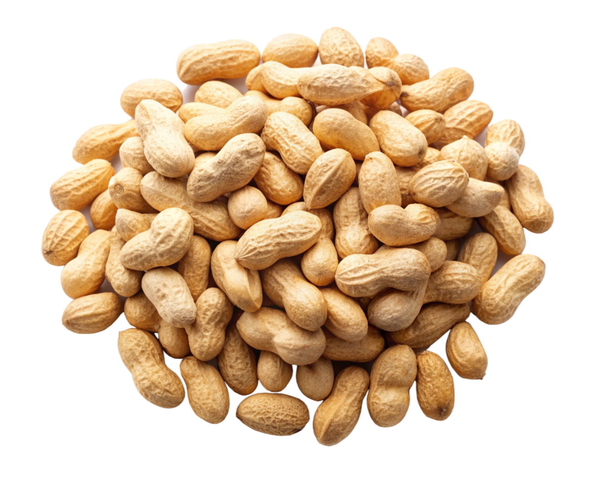 Peanuts dispersed in an unorganized pattern on transparent background png