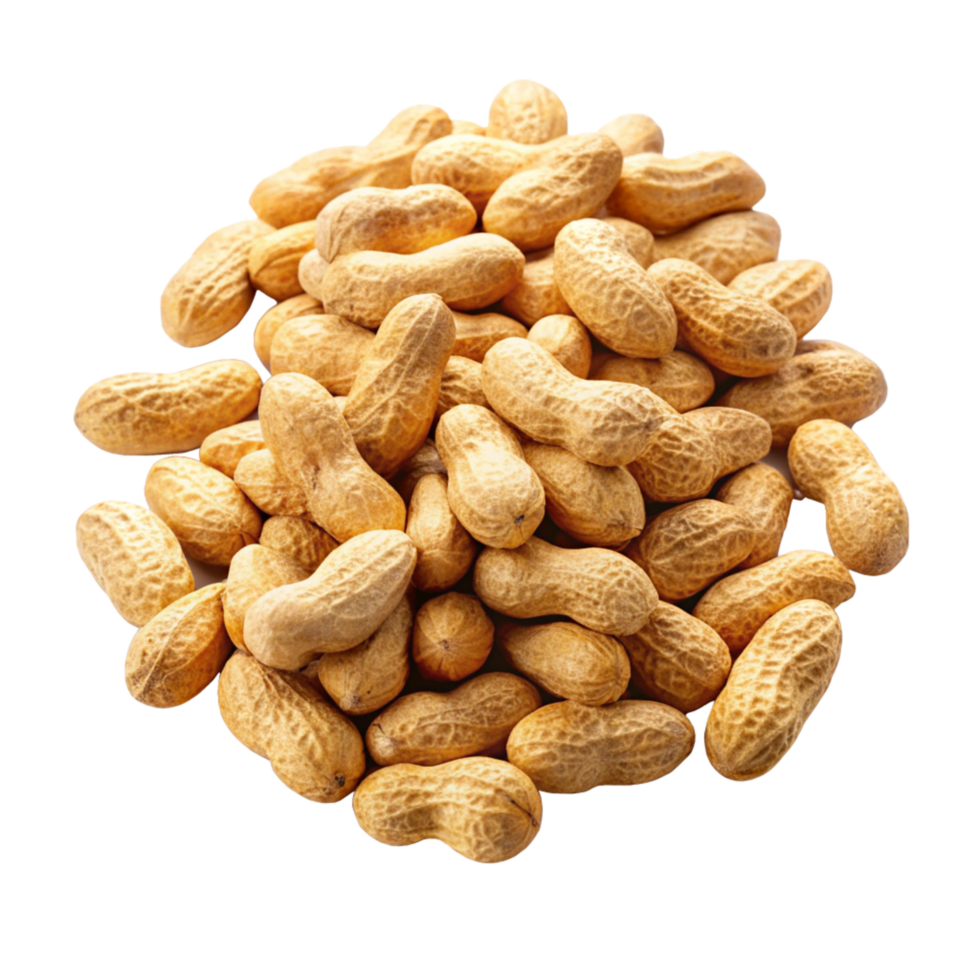 Loose peanuts scattered artistically on transparent background png