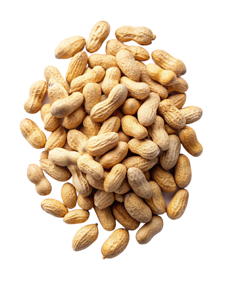 Nutritious peanuts spread randomly on transparent background png