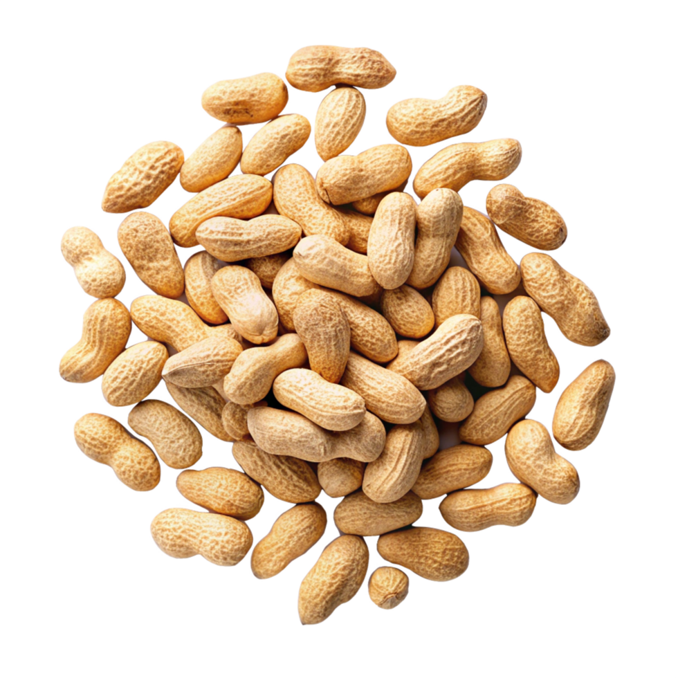 Peanuts scattered in an organic way on transparent background png