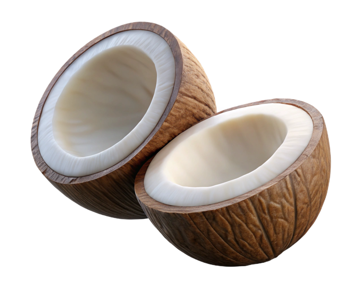 Airborne fresh coconut halves with rough shell on transparent background png