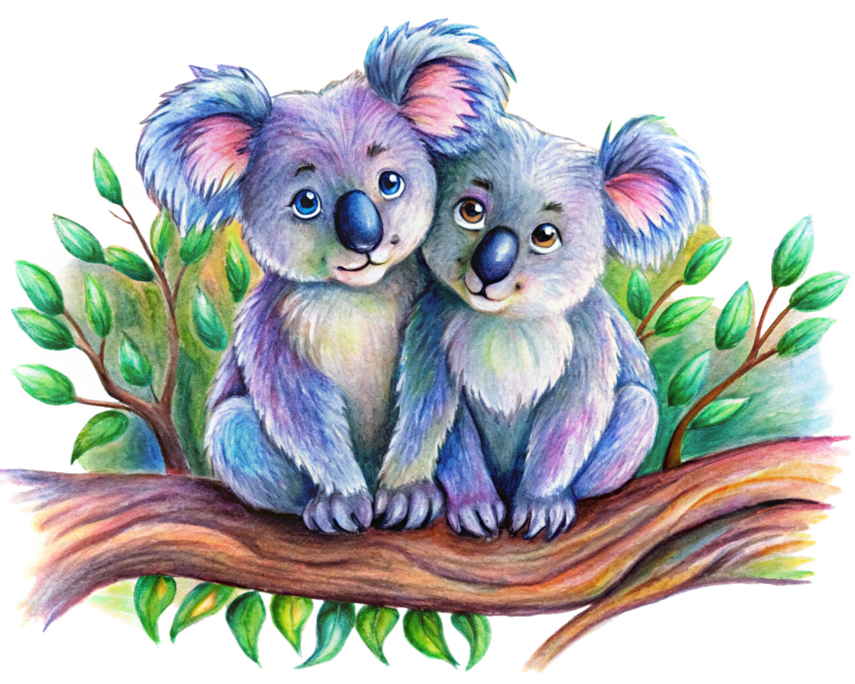 Dreamy tree branch with two affectionate koalas sharing love in transparent background png