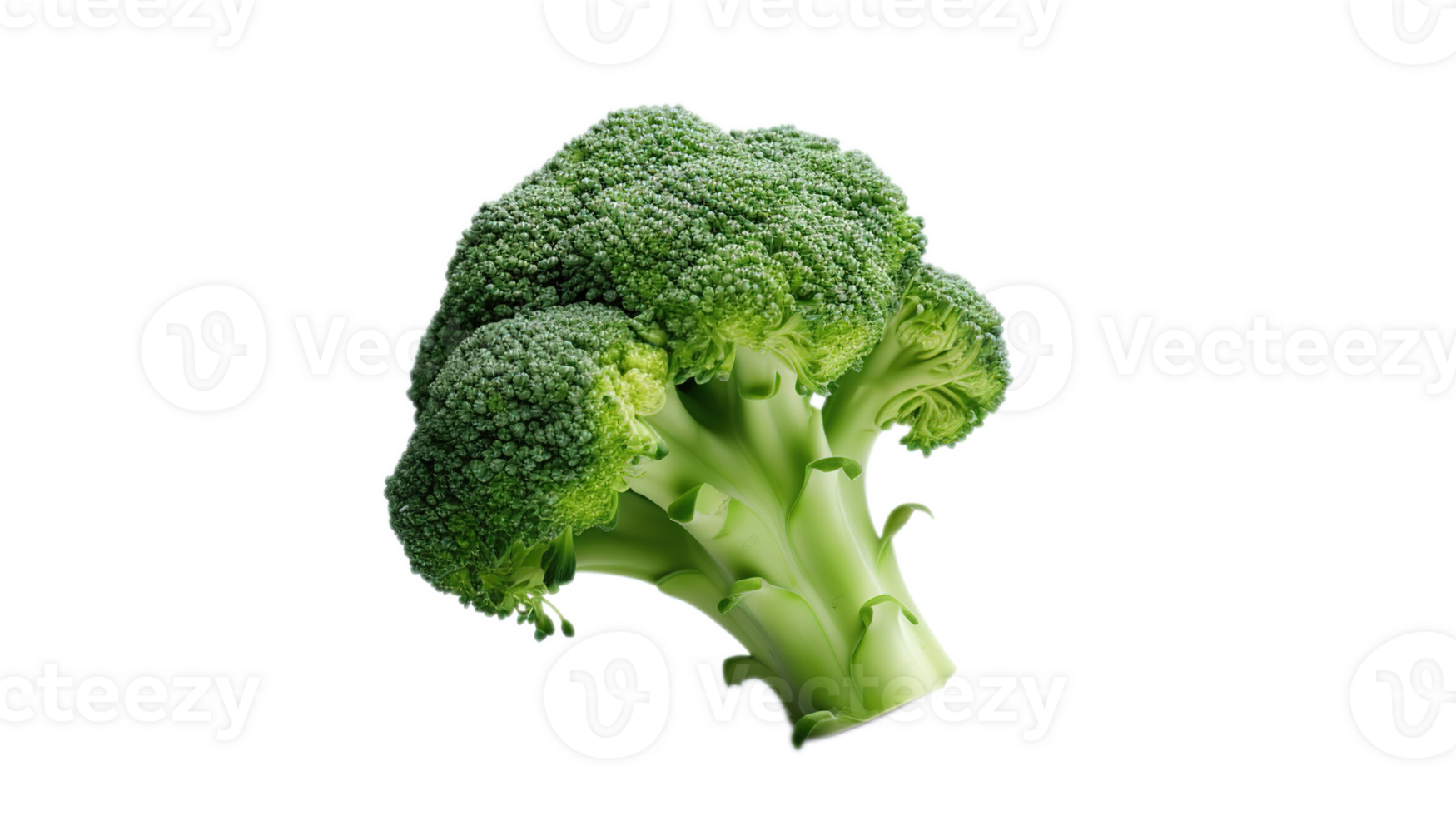 Broccoli on Transparent Background. Vegetable, Health, Healthy, Vegetarian, Fresh png