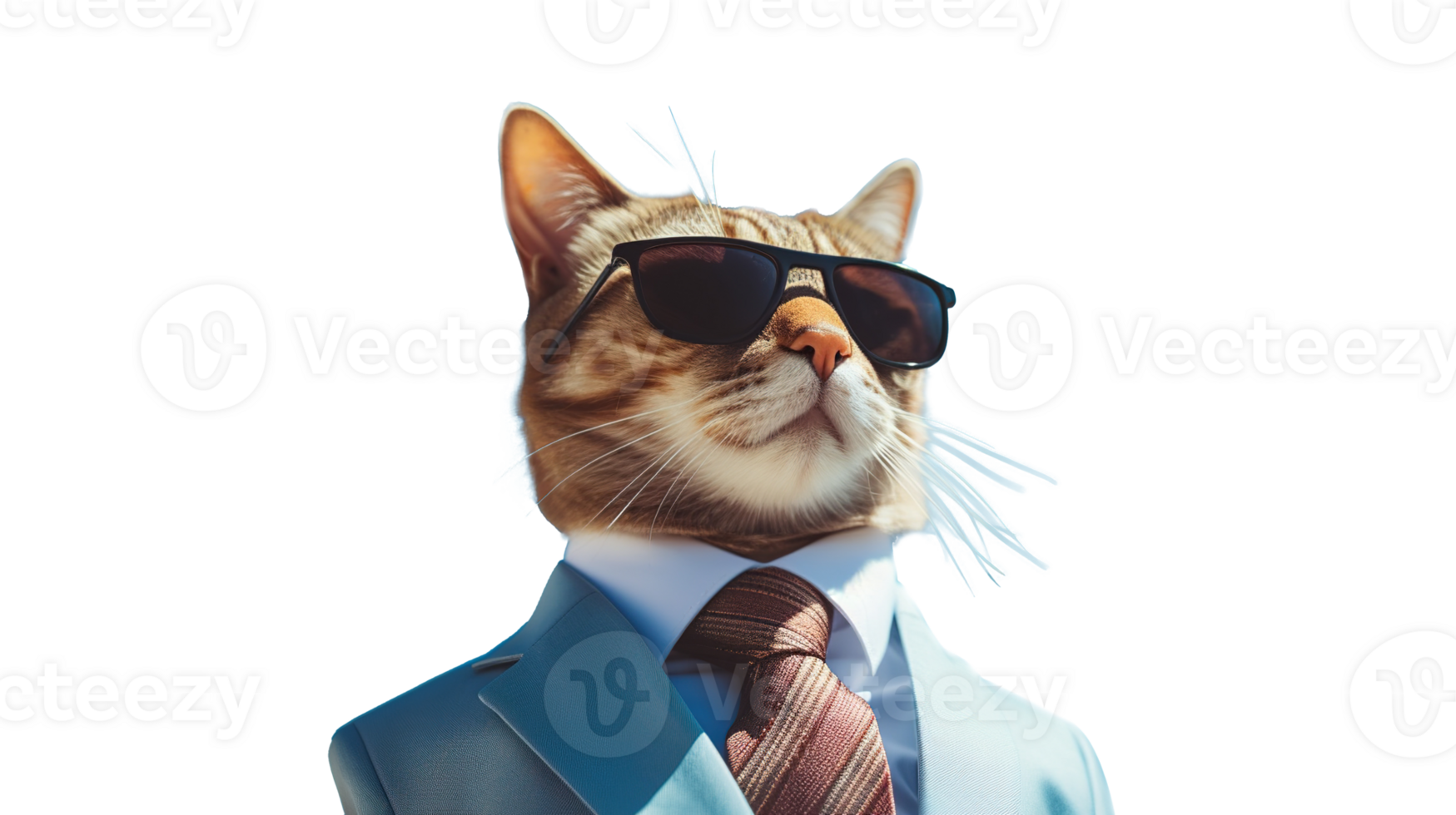 Cat Wearing Sunglasses, Suit, and Tie on Transparent Background. Cute, Cuteness, Success, Successful, Business, Animal, Fun png