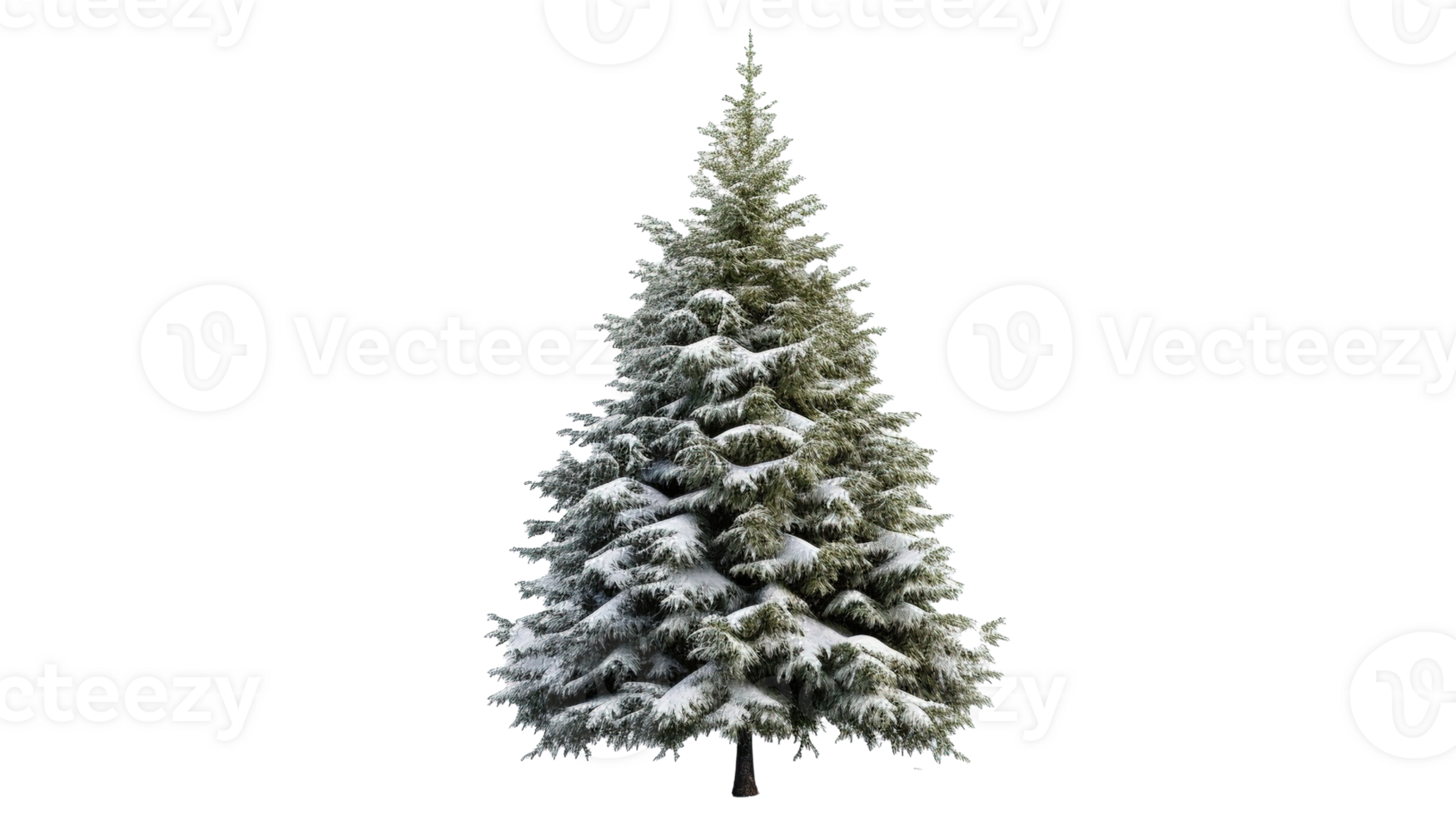 Beautifully Adorned Christmas Tree on a Transparent Background png