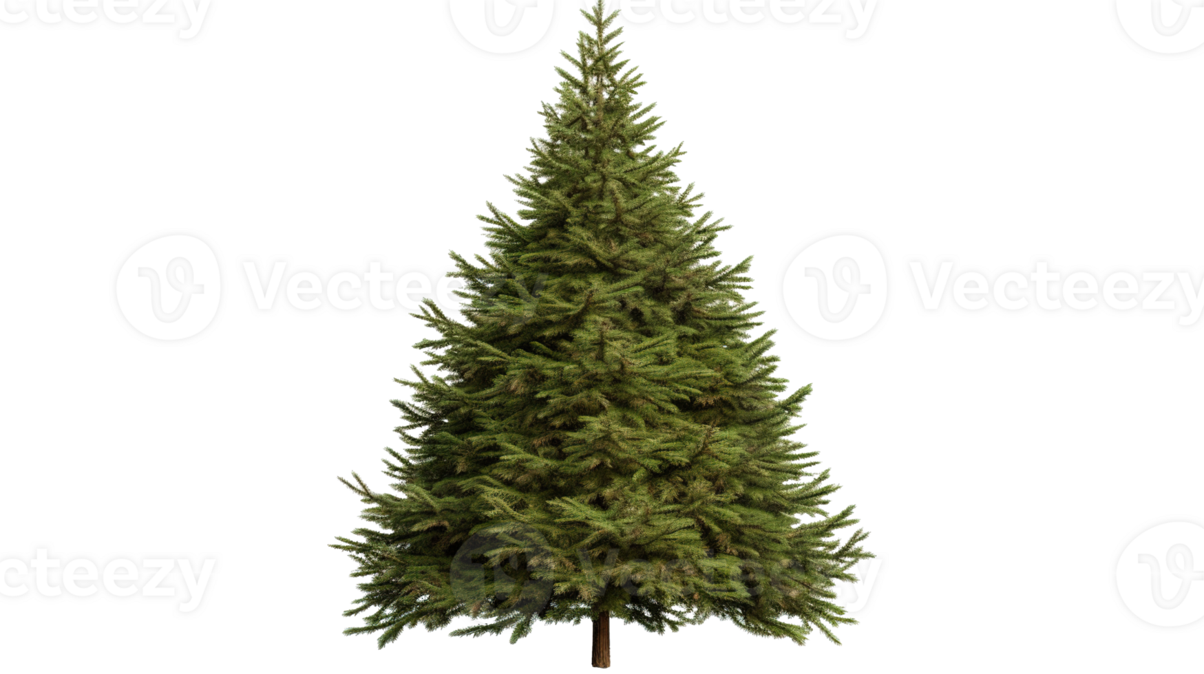 Festive Christmas Tree Decorated and Isolated on Transparent Background png
