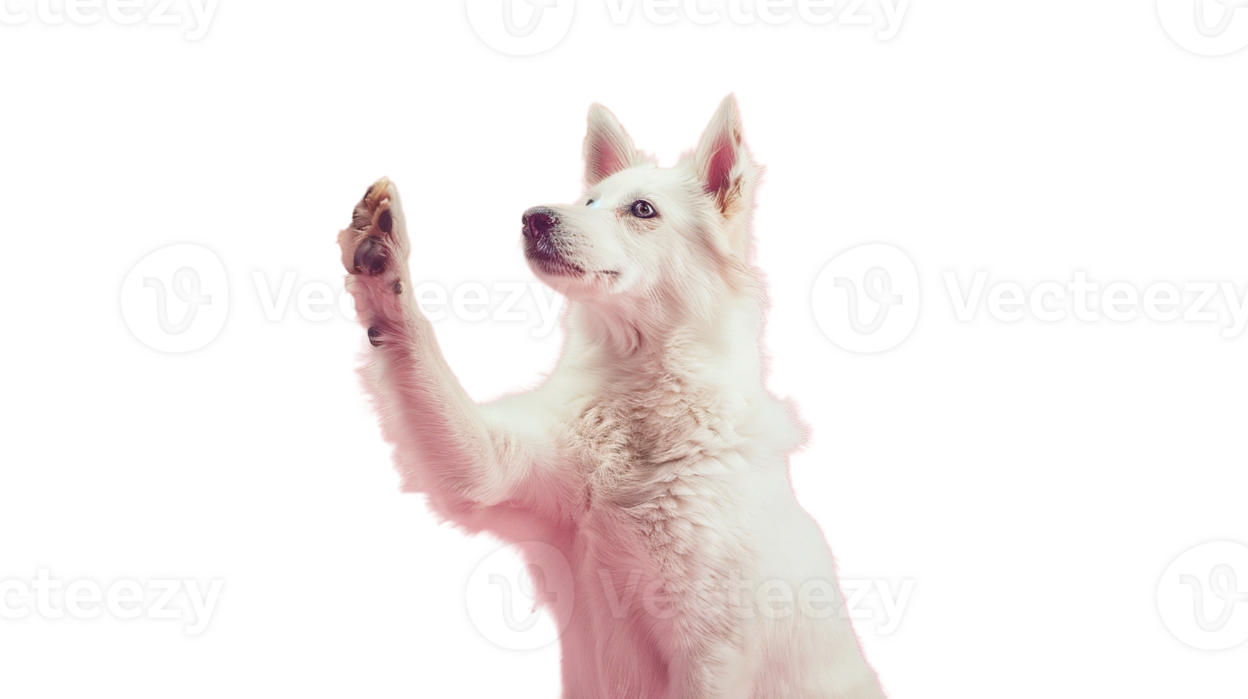 Happy Dog Raising Paw for High Five on Transparent Background Cute and Cheerful Pet png