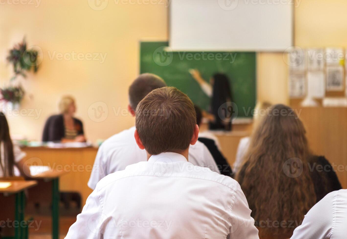 Rear view of students in the classroom, back photo