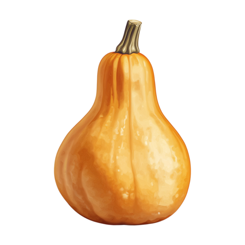 pumpkin on a transparent background png