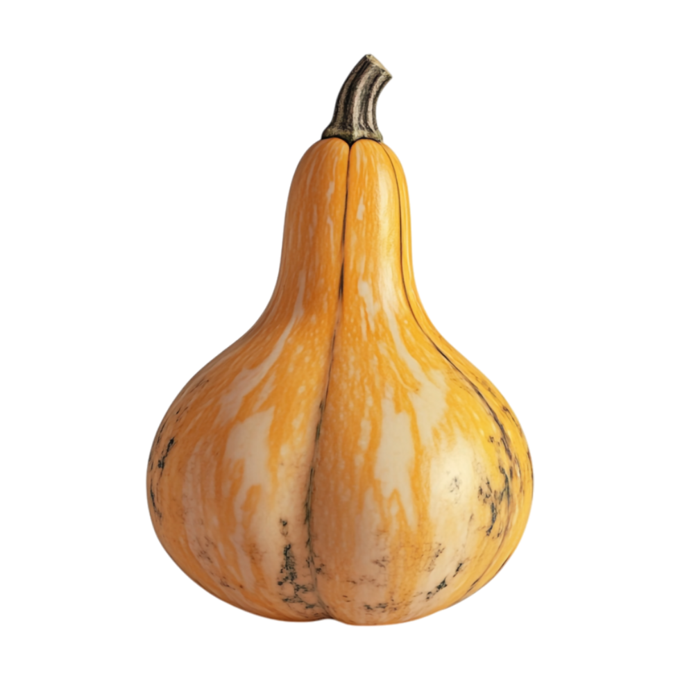 a squash on a transparent background png