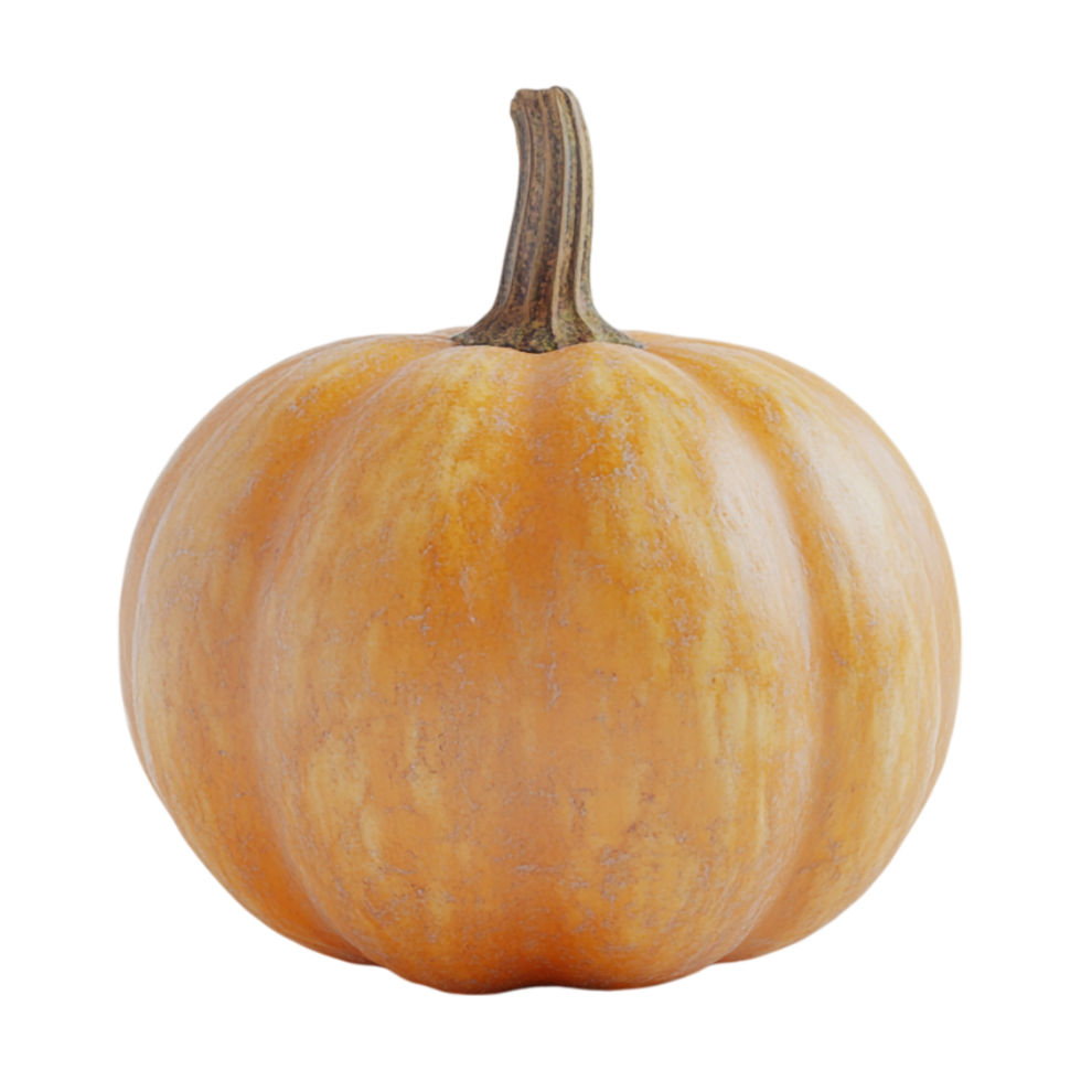 a pumpkin on a transparent background png