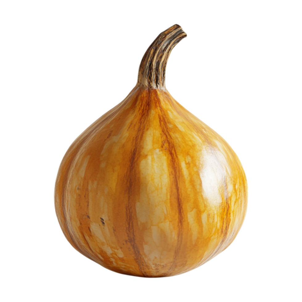 large pumpkin on a transparent background png