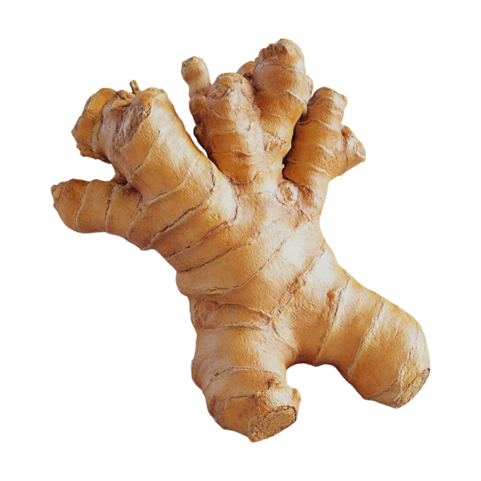 a ginger root on a transparent background png