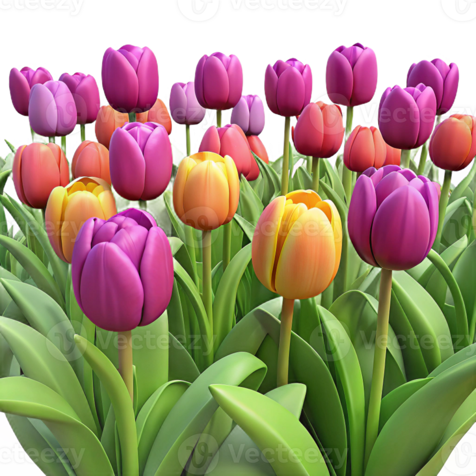 magnificent artistic A Field of Tulips in Full Bloom Vibrant premium png