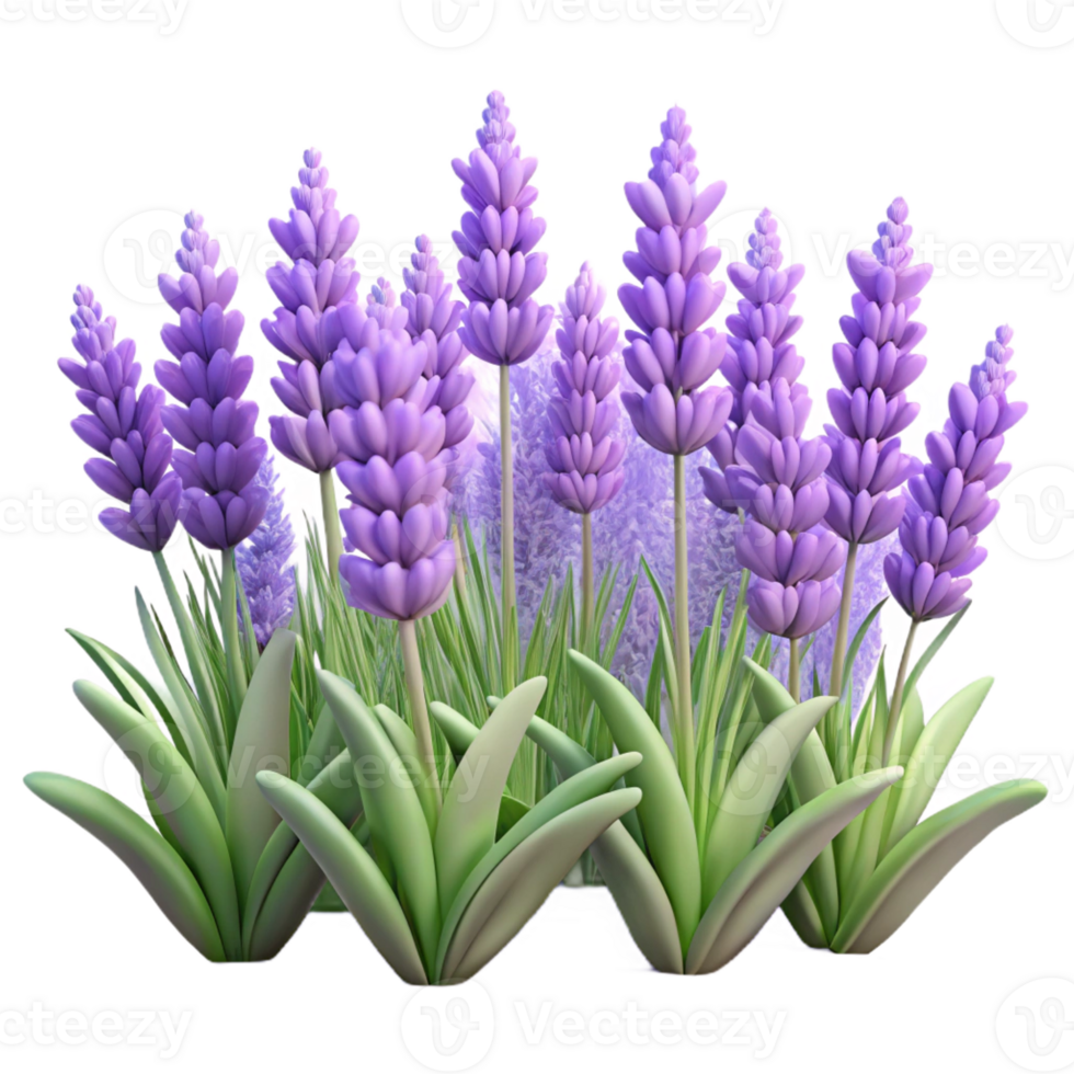 extraordinary minimalist A Field of Lavender Flowers Swaying in Th authentic png