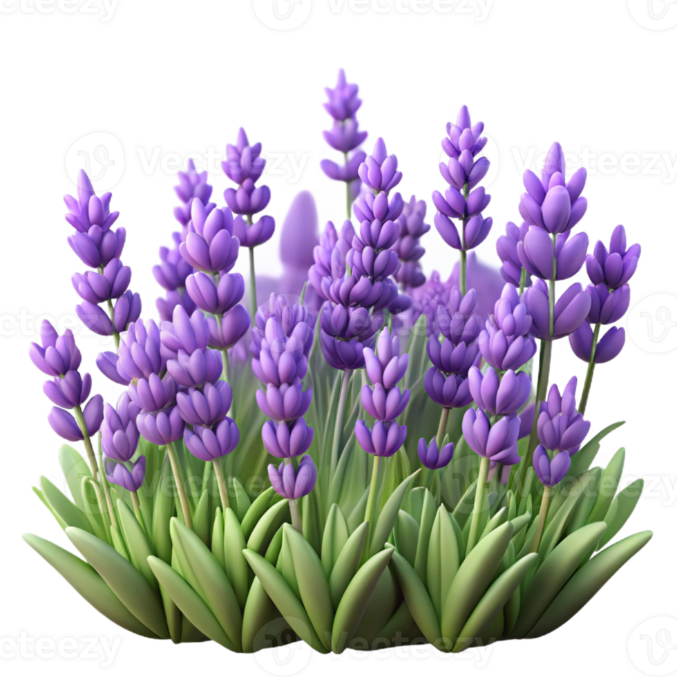 wonderful contemporary A Field of Lavender Flowers Swaying in Th genuine png