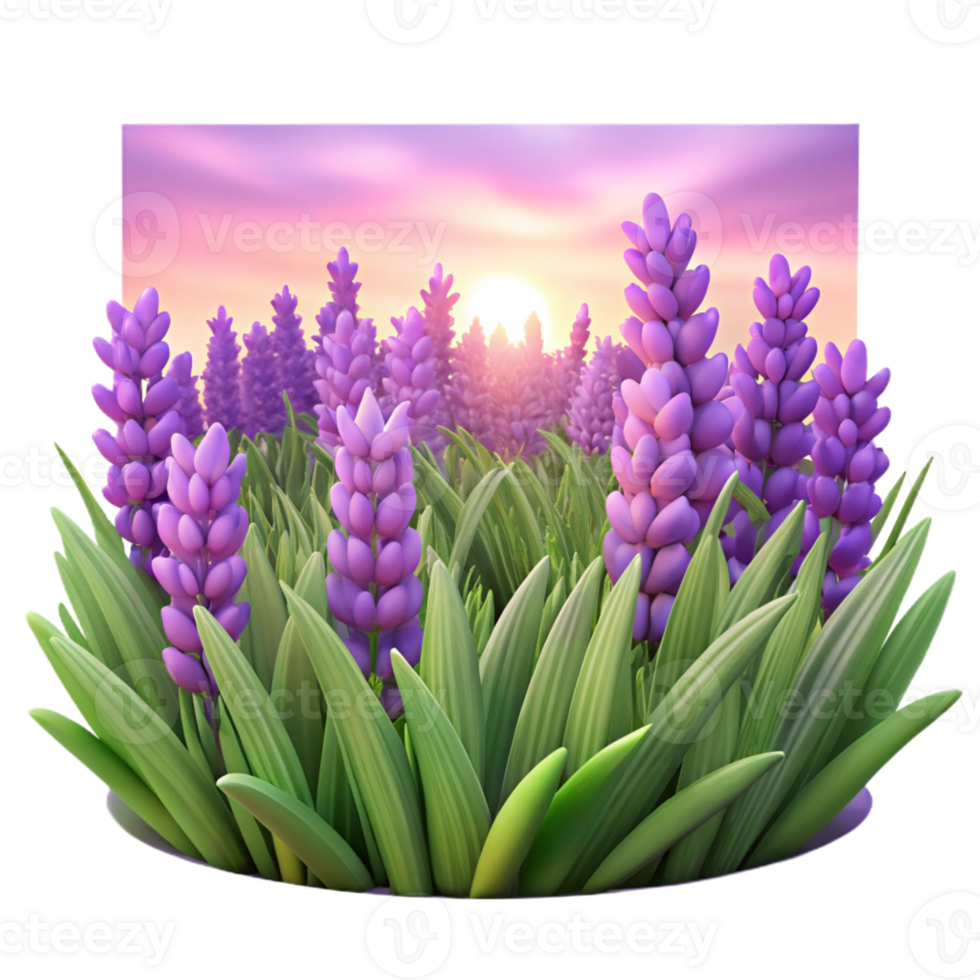 extraordinary minimalist A Field of Lavender Flowers Swaying In high quality png