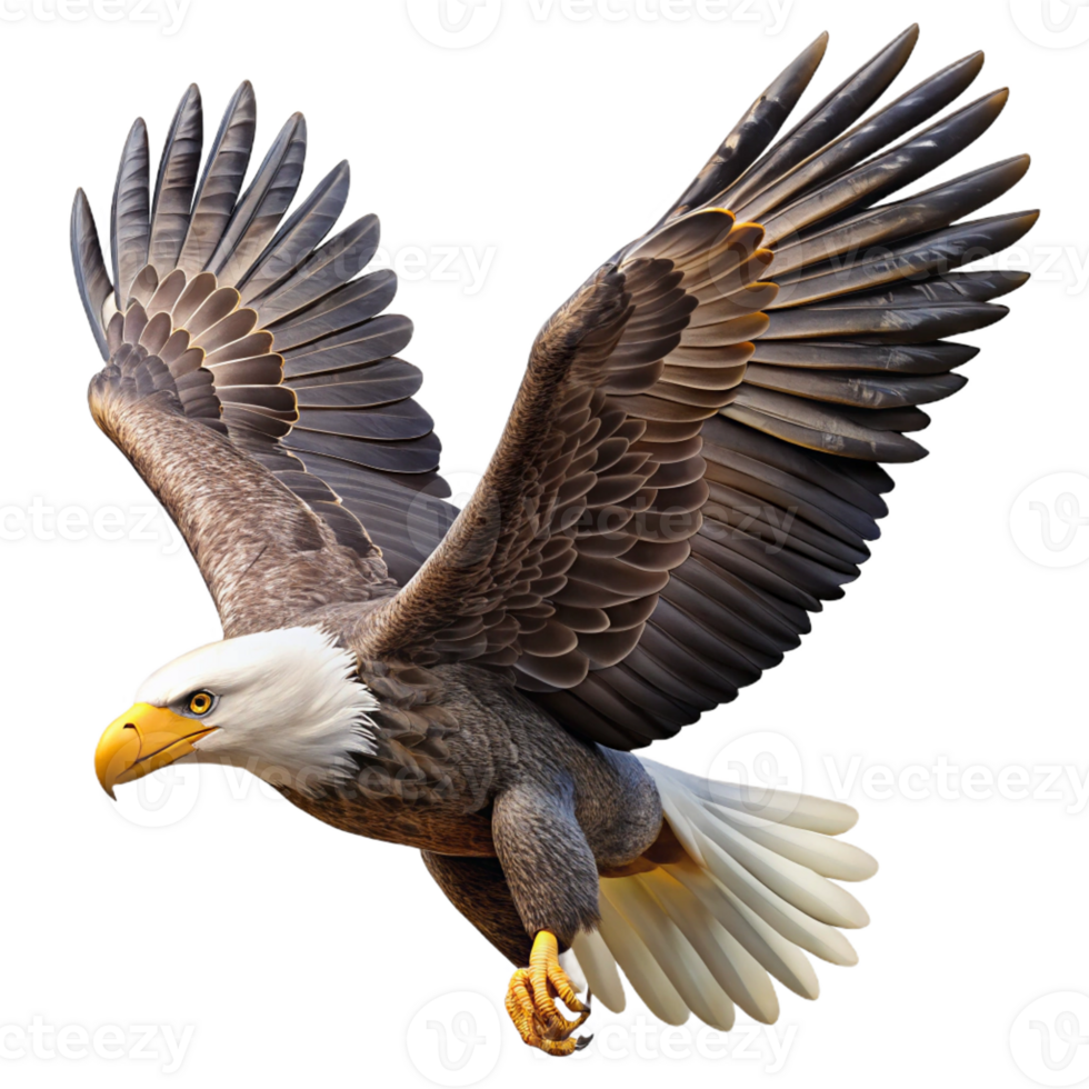 extraordinary classic A Majestic Bald Eagle Soaring Through The high resolution png