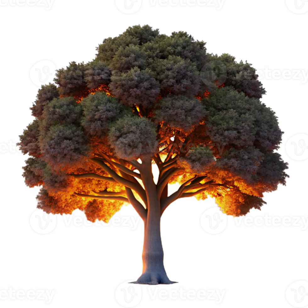 wonderful vintage A Lone Weathered Oak Tree Silhouetted Ag original png