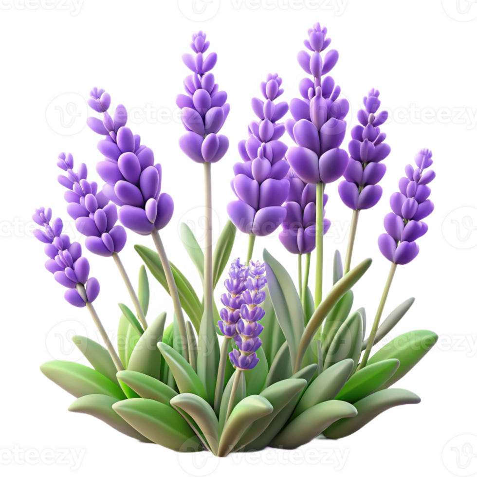 wonderful classic A Field of Lavender Flowers Swaying in T premium png