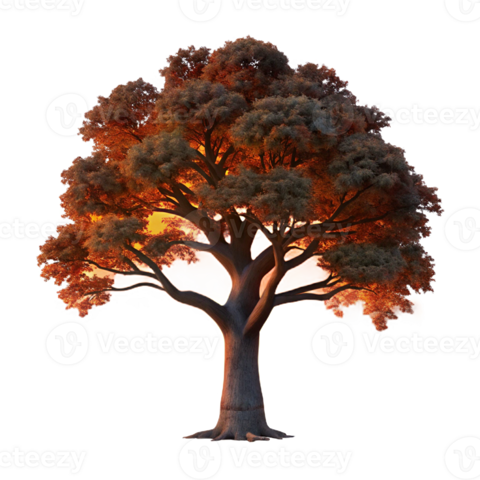 beautiful vintage A Lone Weathered Oak Tree Silhouetted Ag genuine png