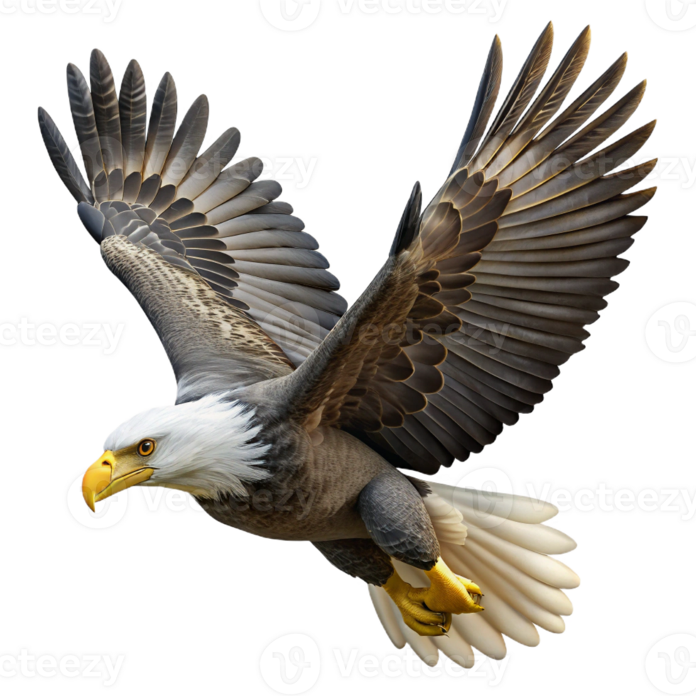 vibrant traditional A Majestic Bald Eagle Soaring Through The original png