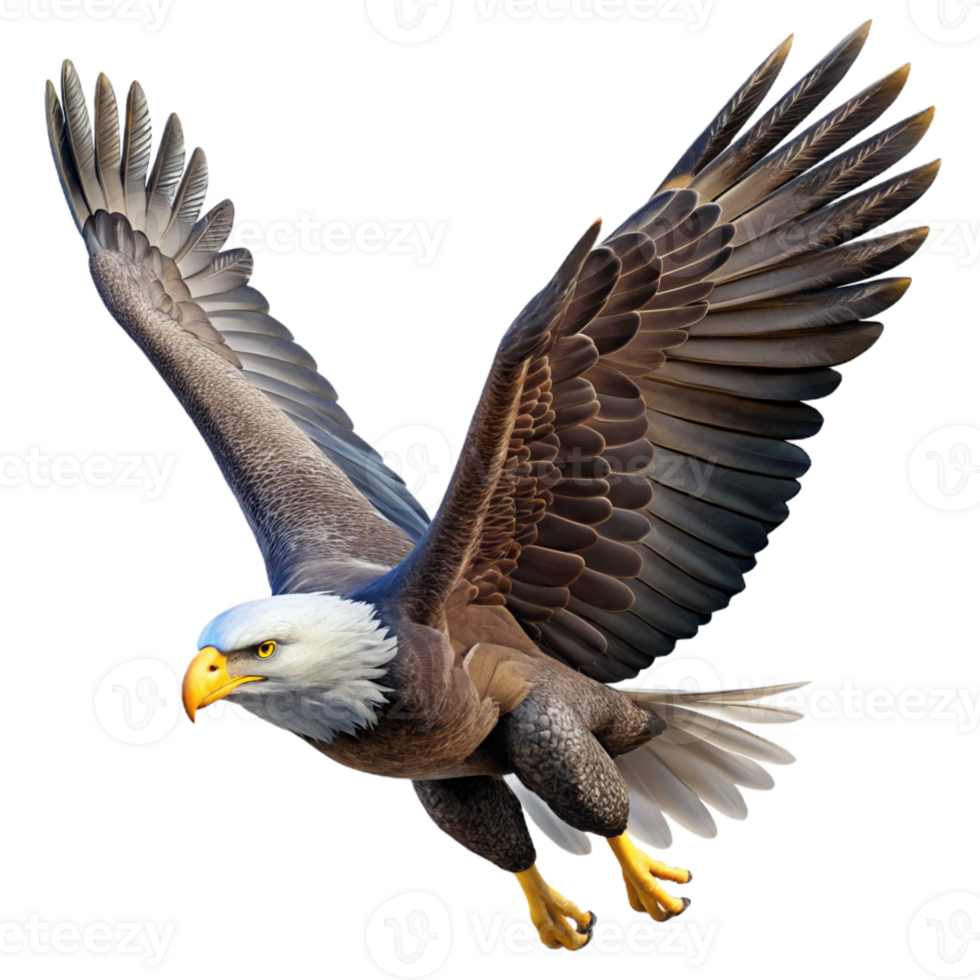 impressive abstract A Majestic Bald Eagle Soaring Through The high resolution png