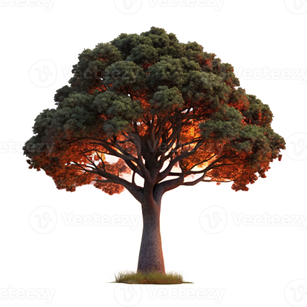 serene rustic A Lone Weathered Oak Tree Silhouetted A authentic png