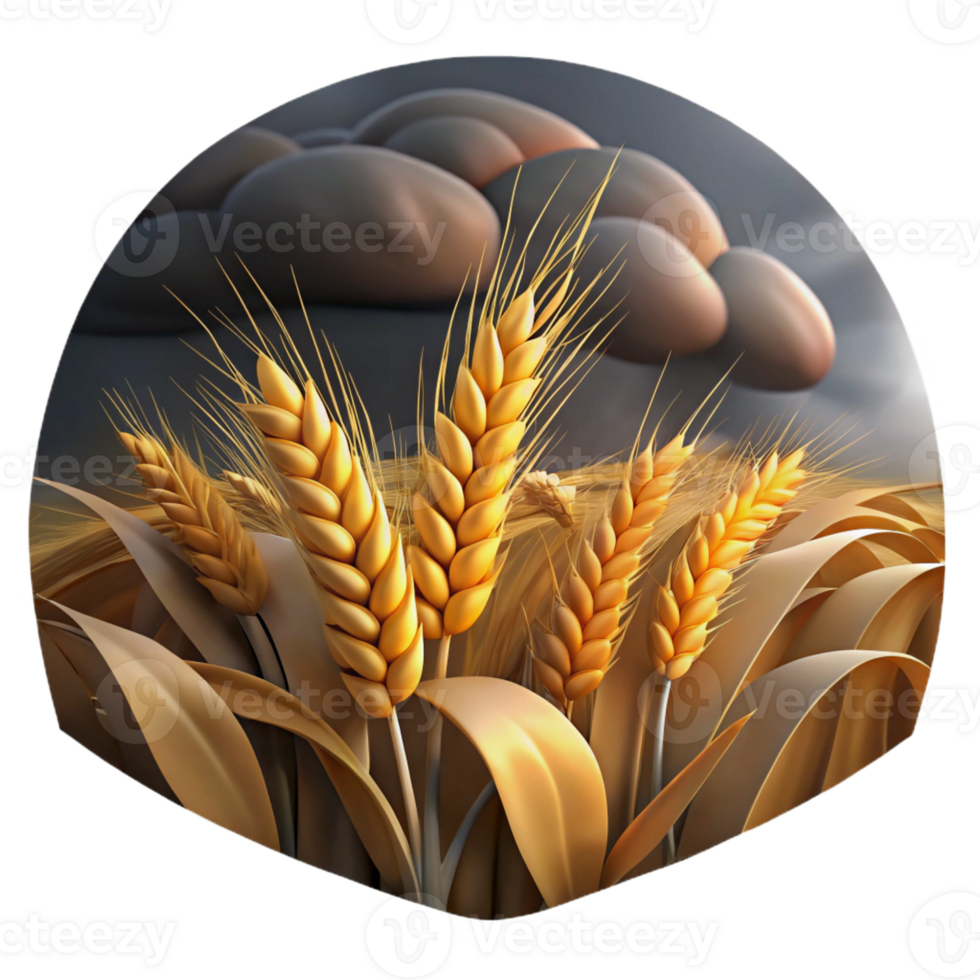 elegant artistic A Rolling Field of Wheat Under a Stormy S high quality png