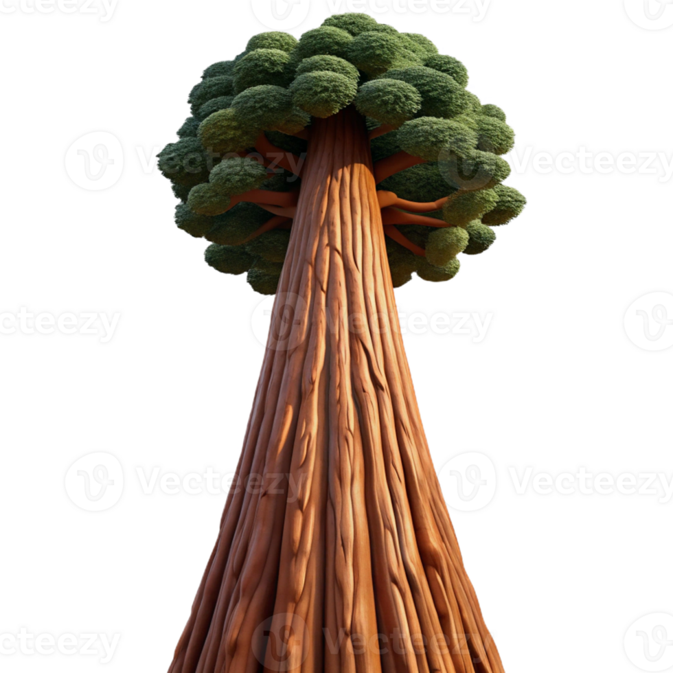 elegant minimalist A Giant Sequoia Tree Reaching Towards Th high resolution png