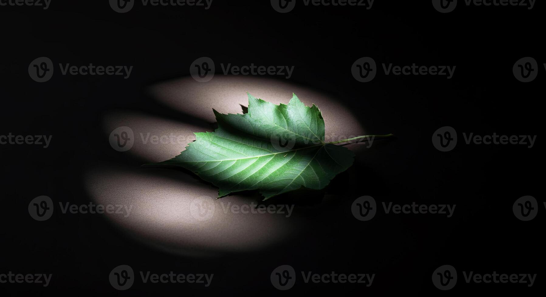 A single green leaf elegantly sits in a soft spotlight, casting a dreamy shadow on a dark background photo