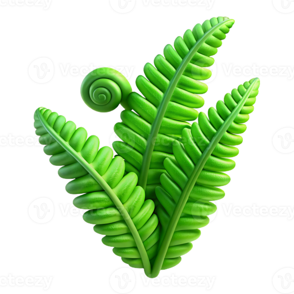 magnificent abstract Unfurling Fern Soft Diffuse Light authentic png