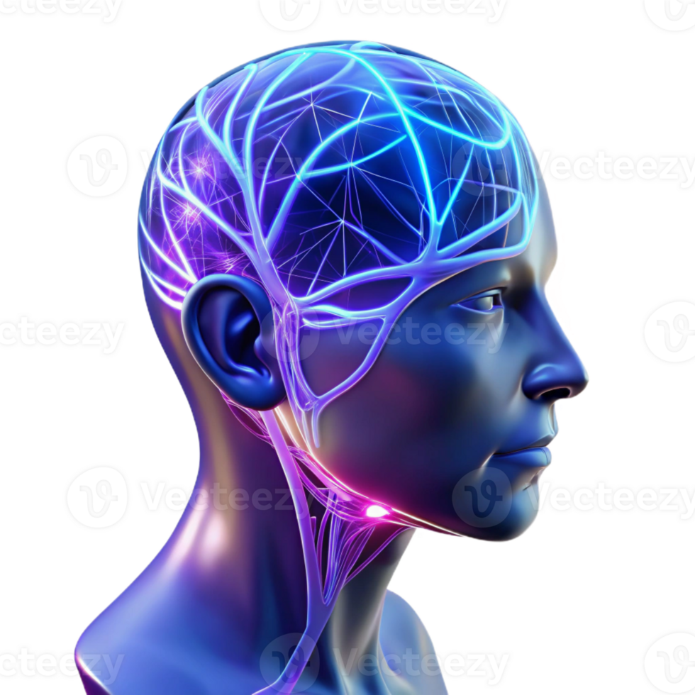 serene classic A Transparent Human Head with Visible Neur professional png