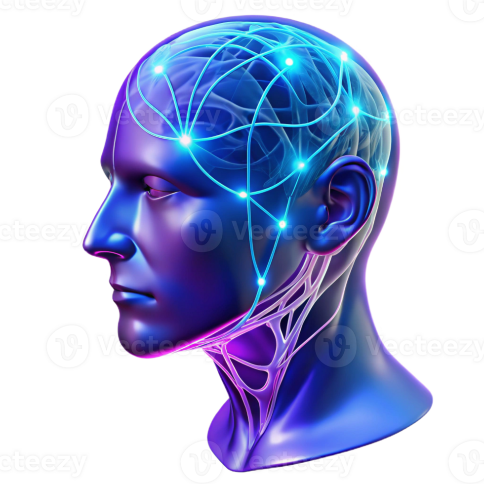 impressive classic A Transparent Human Head with Visible Neur png