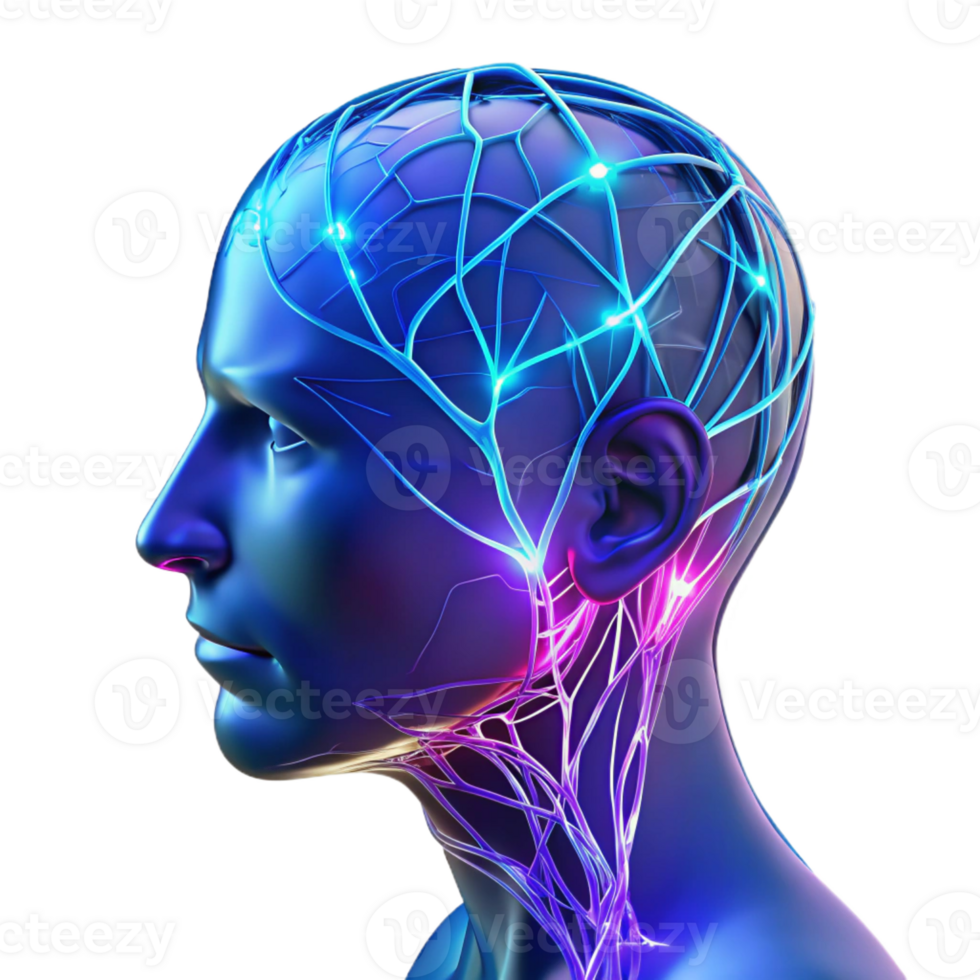 vibrant creative A Transparent Human Head with Visible Neur premium png