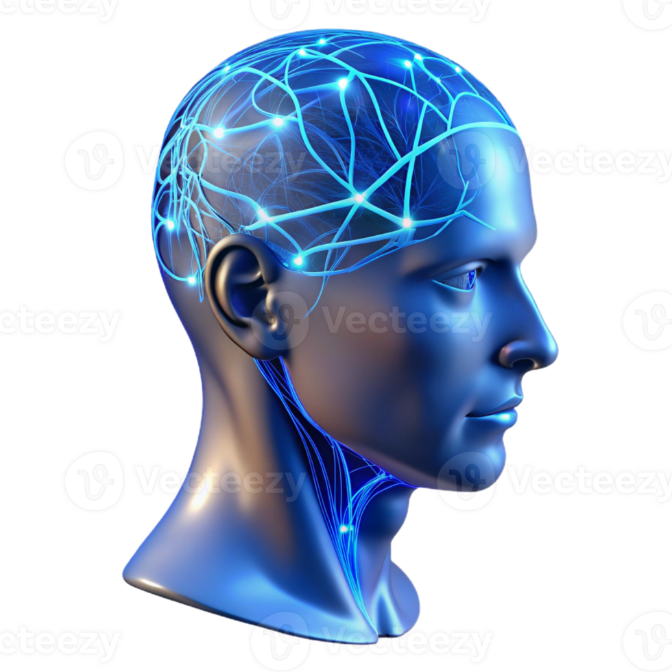 magnificent contemporary A Transparent Human Head with Visible Neu authentic png
