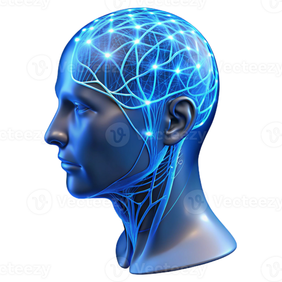 elegant modern A Transparent Human Head with Visible Neu high quality png
