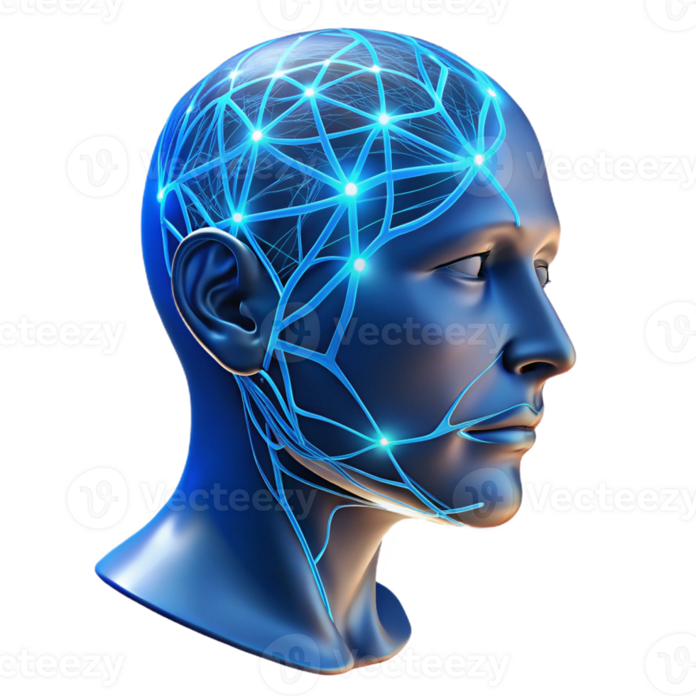 elegant traditional A Transparent Human Head with Visible Neu high quality png